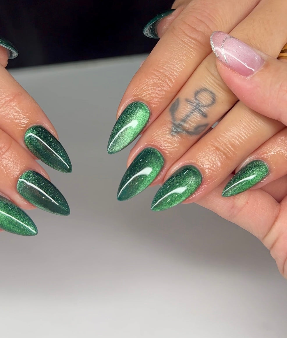 Jelly Gel 12 colors