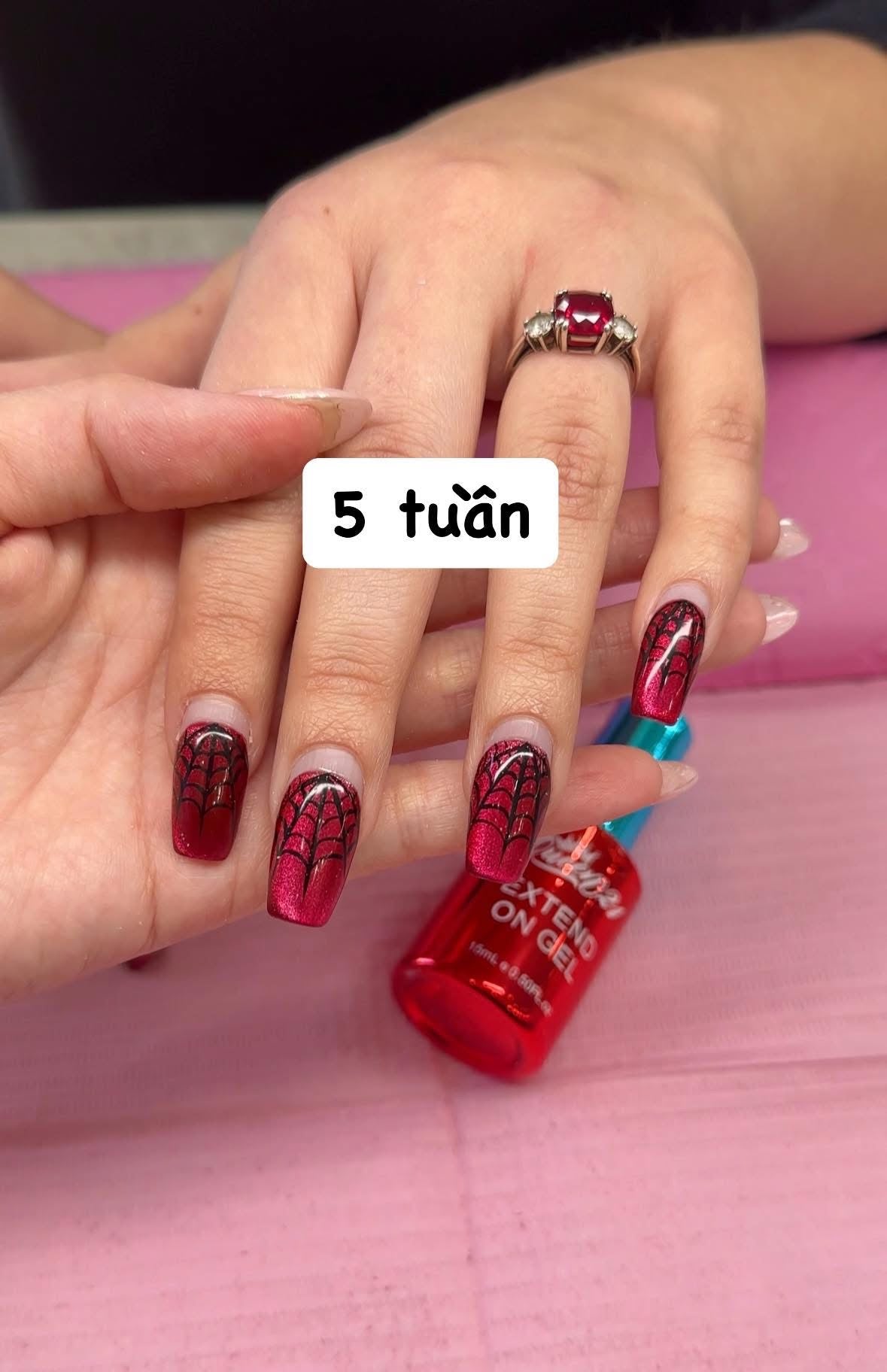 Gel Extend Queen
